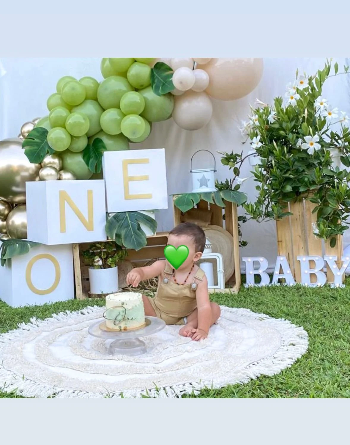 Bambino seduto su un tappeto bianco con torta, decorazioni di palloncini e piante, festeggiando il primo compleanno.